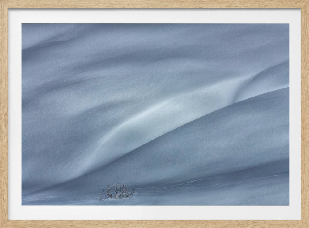 pistes in de winter | Poster