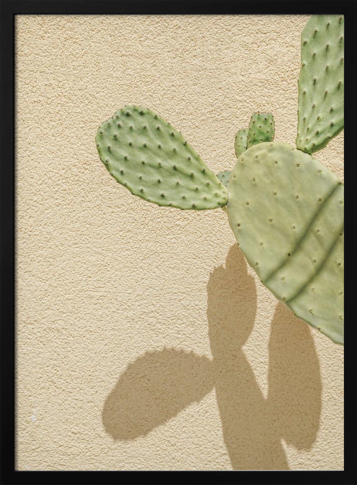 Cactussen Schaduwspel | Poster