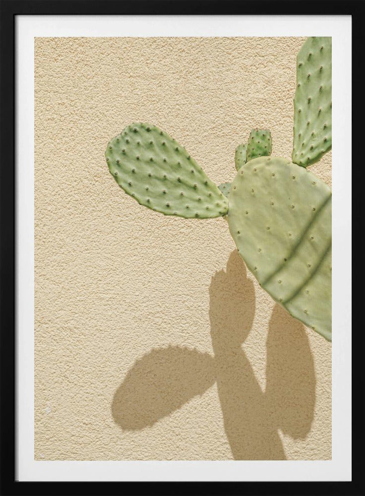 Cactussen Schaduwspel | Poster