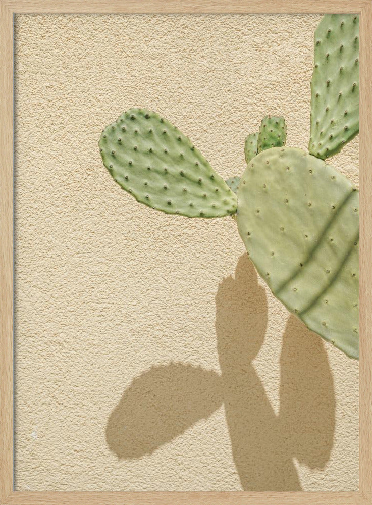 Cactussen Schaduwspel | Poster