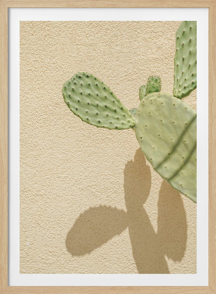 Cactussen Schaduwspel | Poster