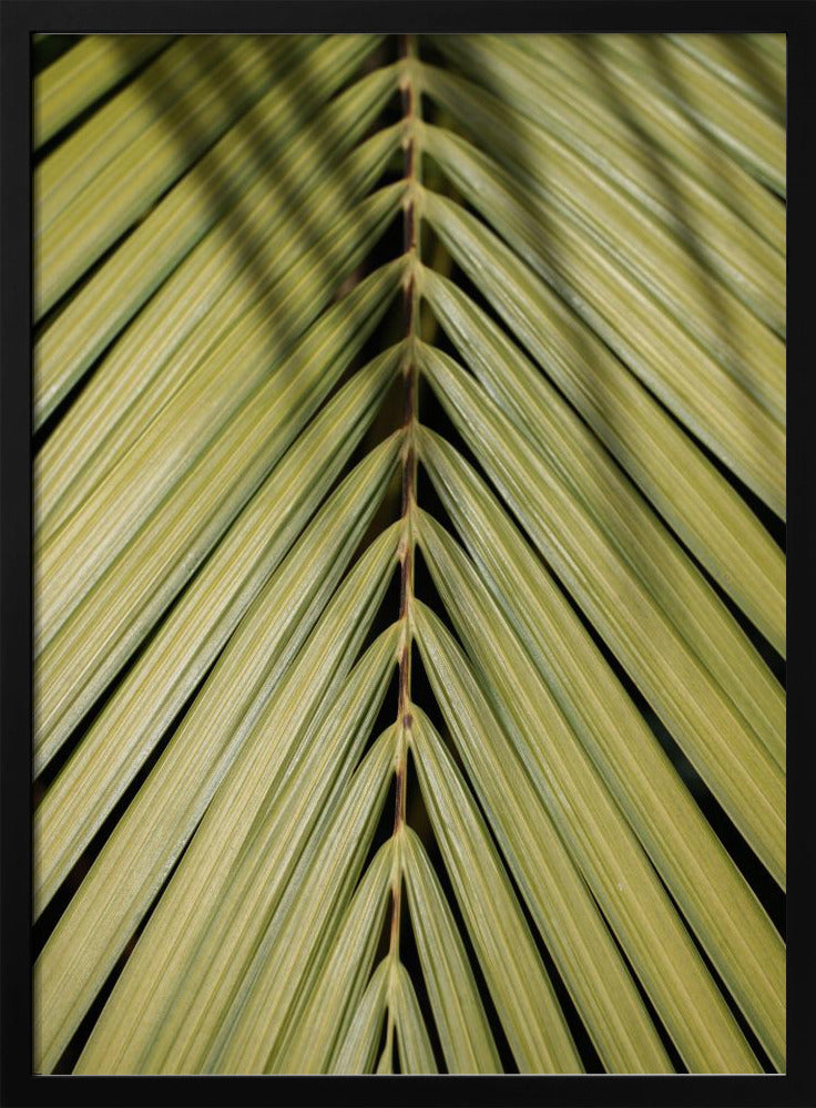 Tropisch blad | Poster