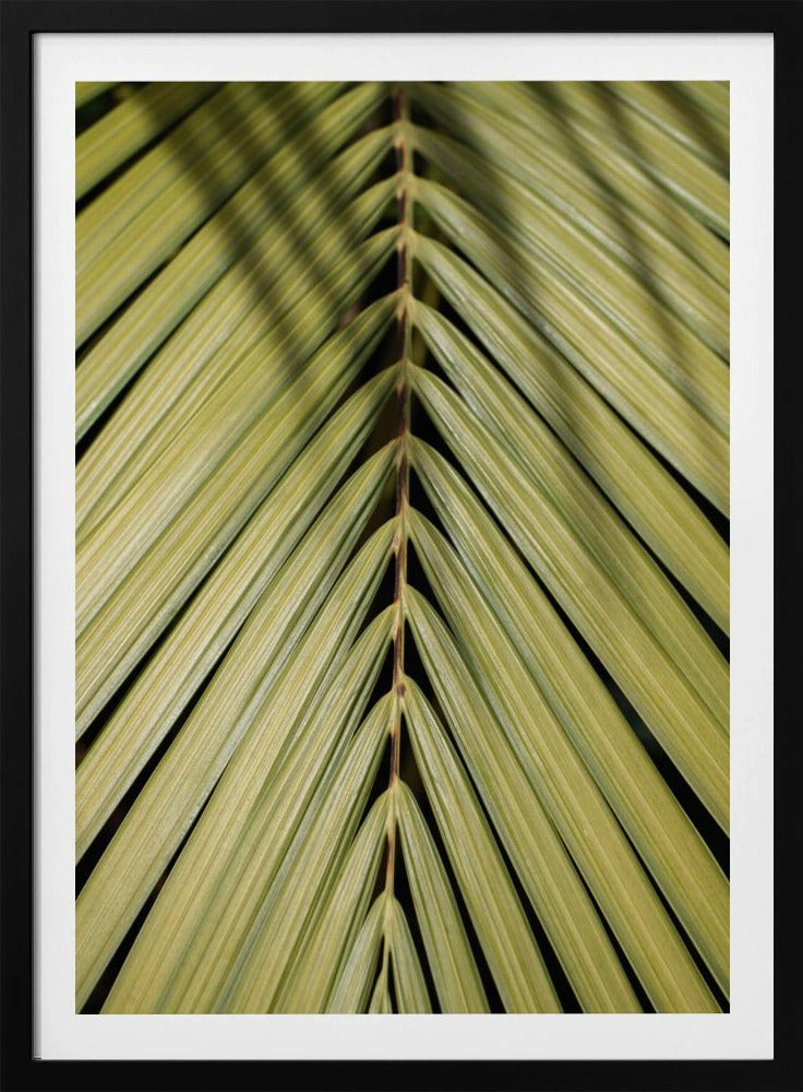 Tropisch blad | Poster