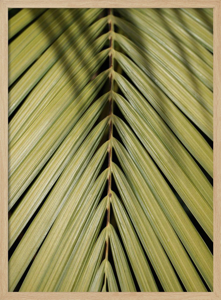 Tropisch blad | Poster