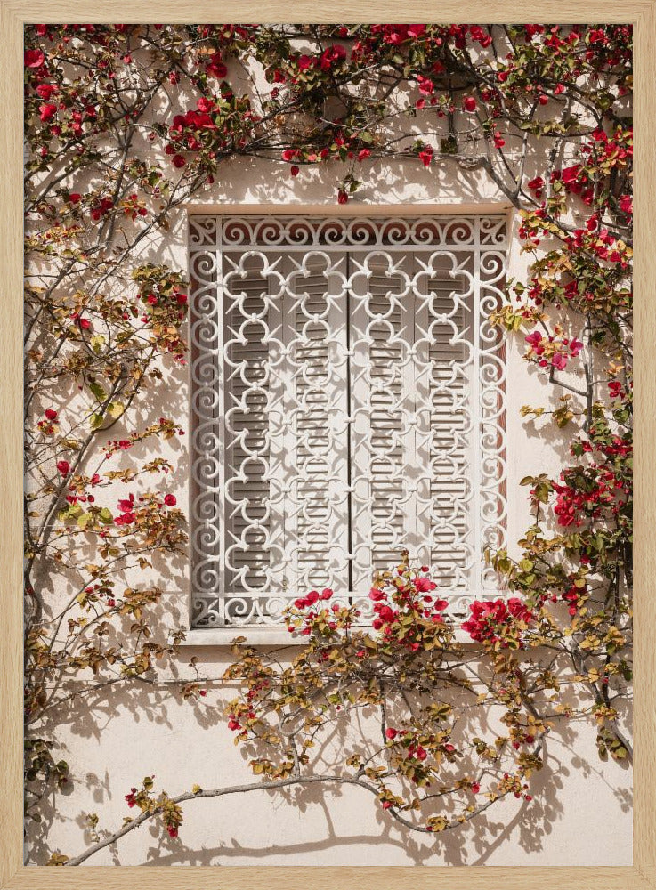 Het Rode Kader | Poster