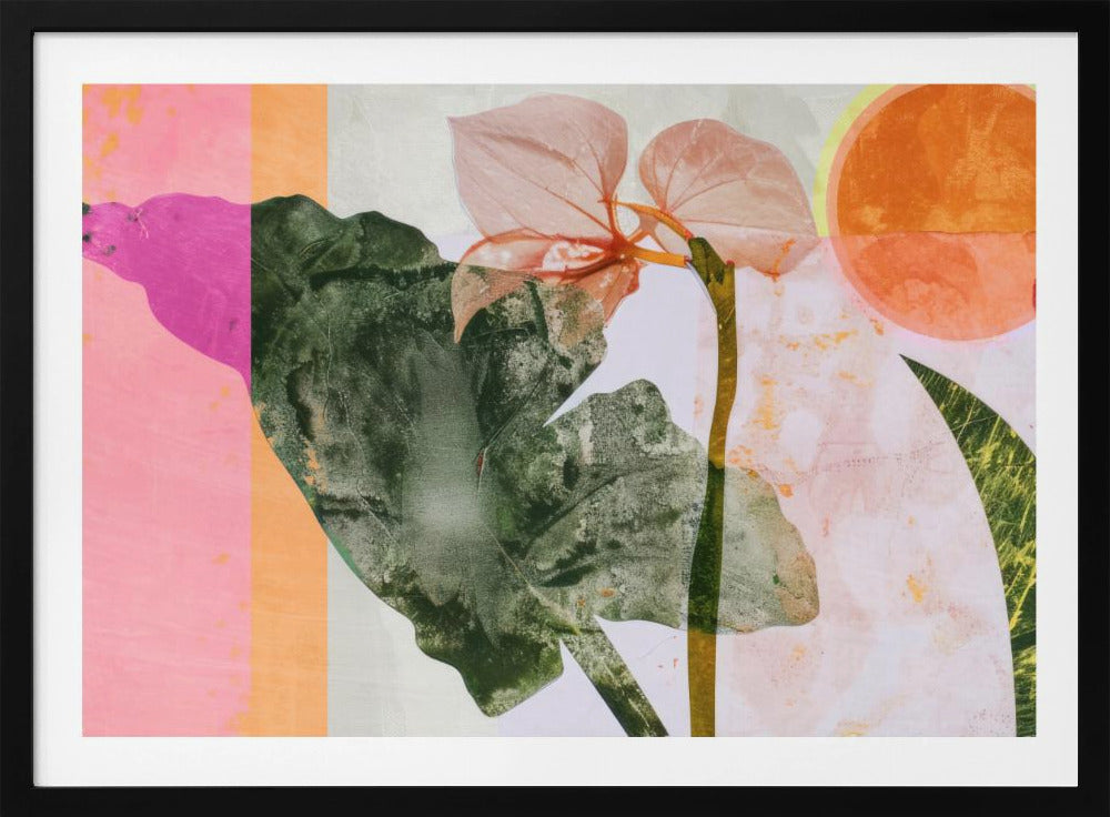 Tropische zonsopgang | Poster
