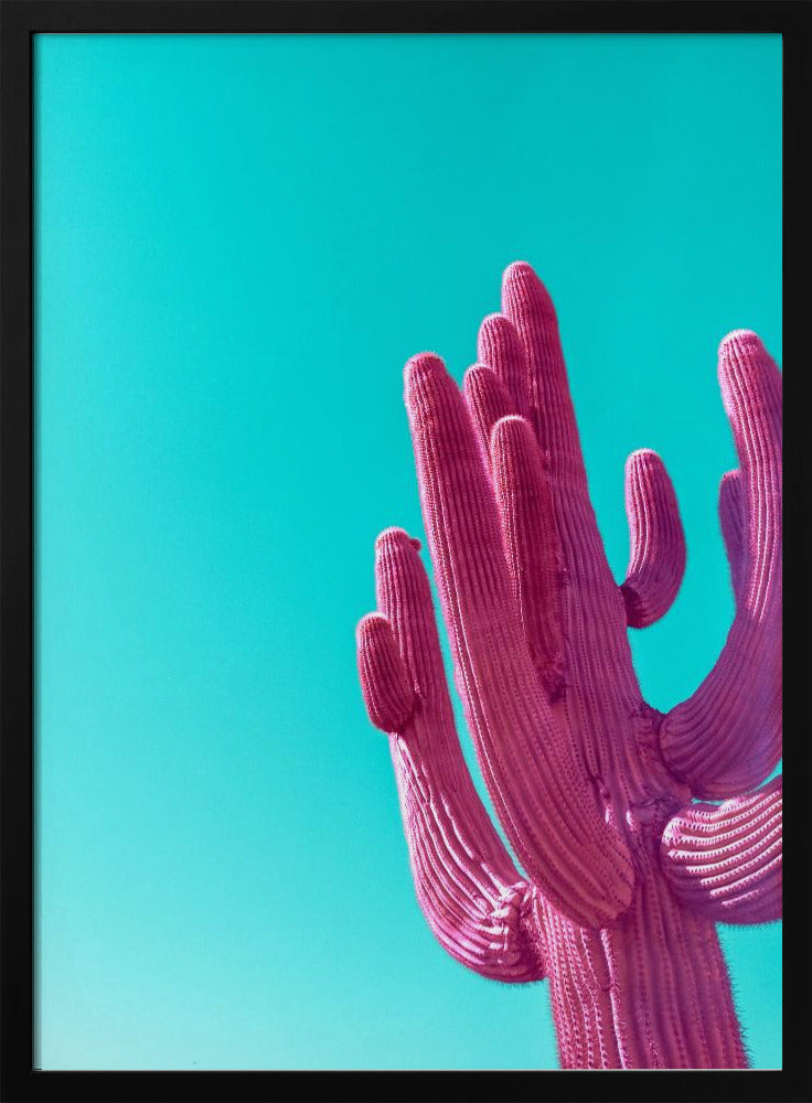 Magenta Roze Saguaro | Poster