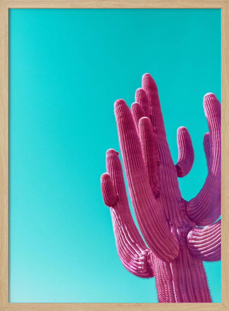 Magenta Roze Saguaro | Poster