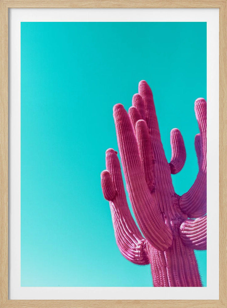 Magenta Roze Saguaro | Poster