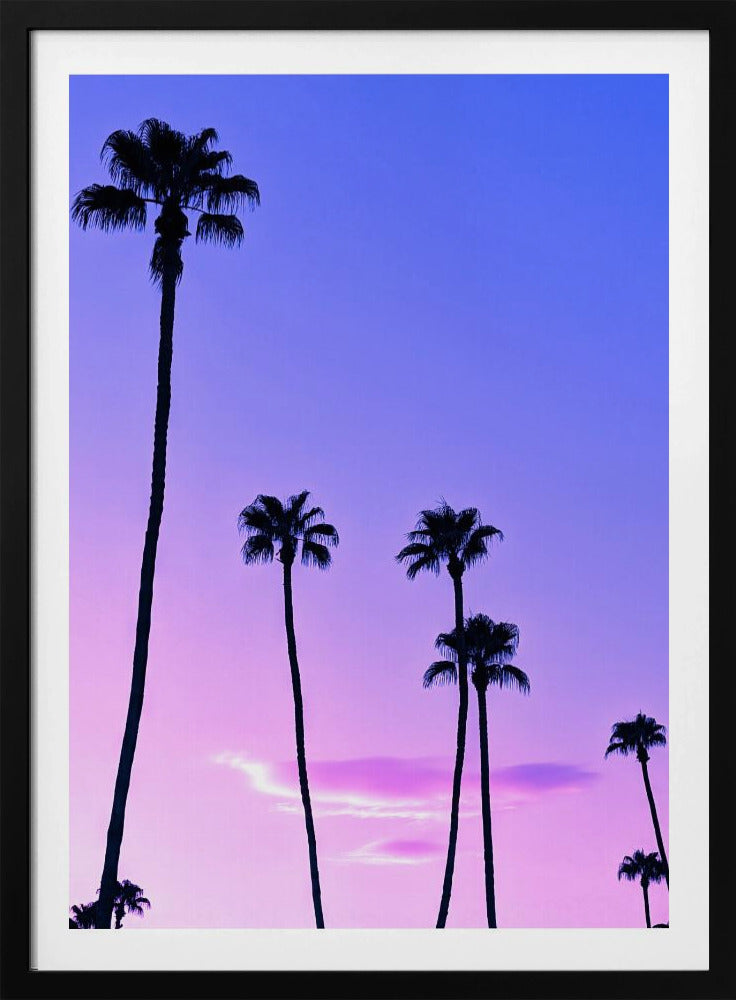 Palmboom zonsondergang | Poster