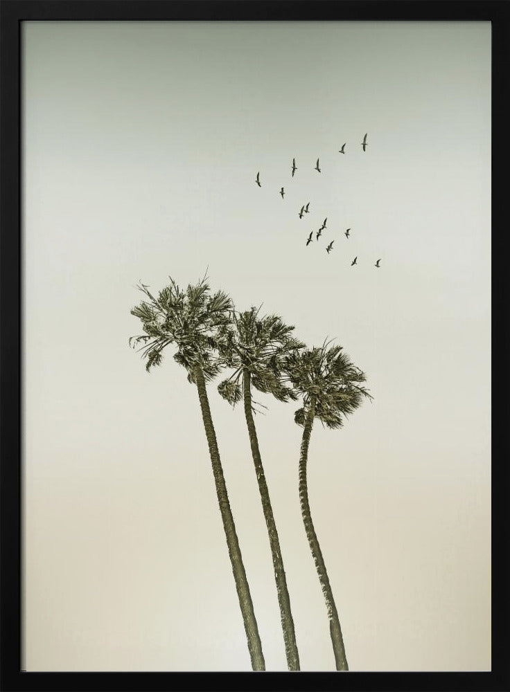 Vintage minimalistische palmbomen en zonsondergang | Poster