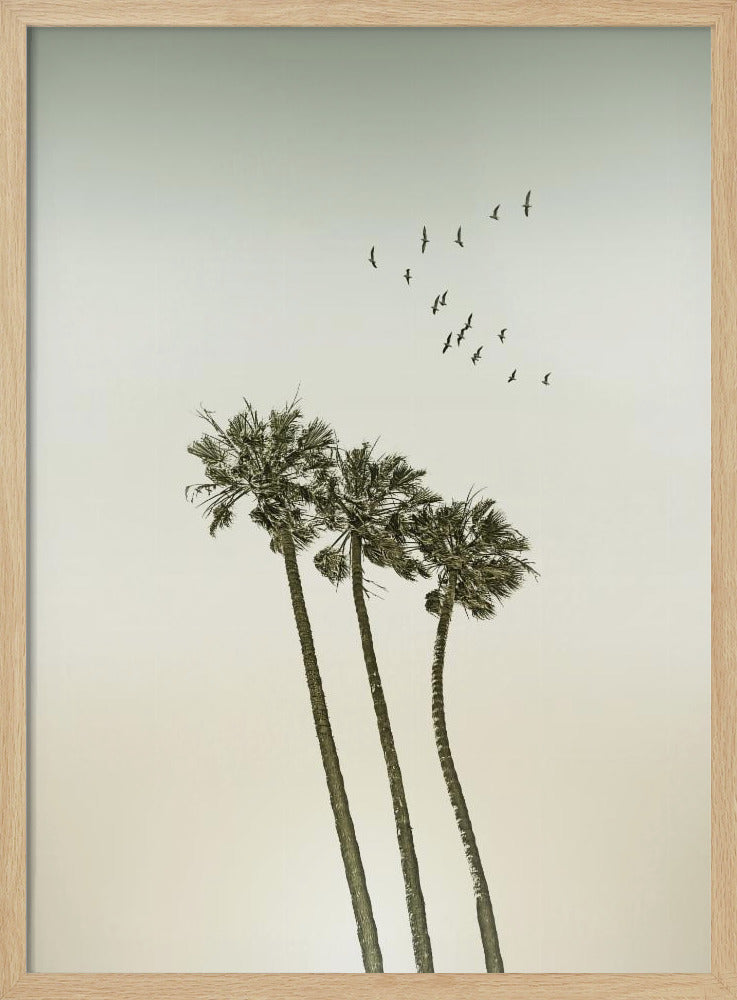 Vintage minimalistische palmbomen en zonsondergang | Poster