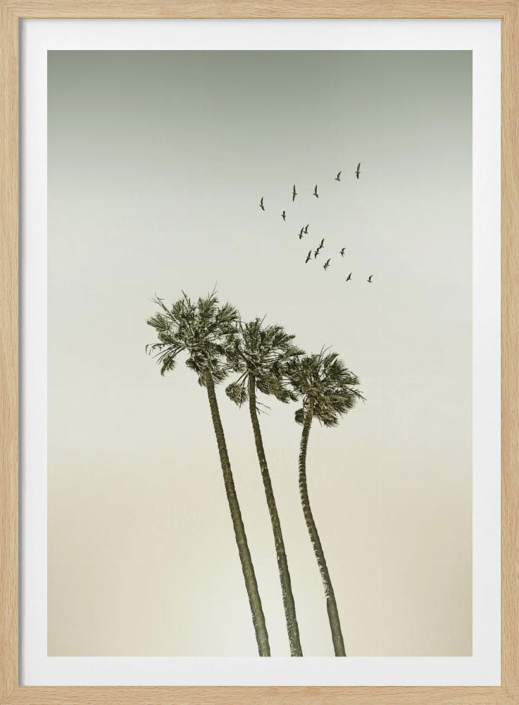Vintage minimalistische palmbomen en zonsondergang | Poster