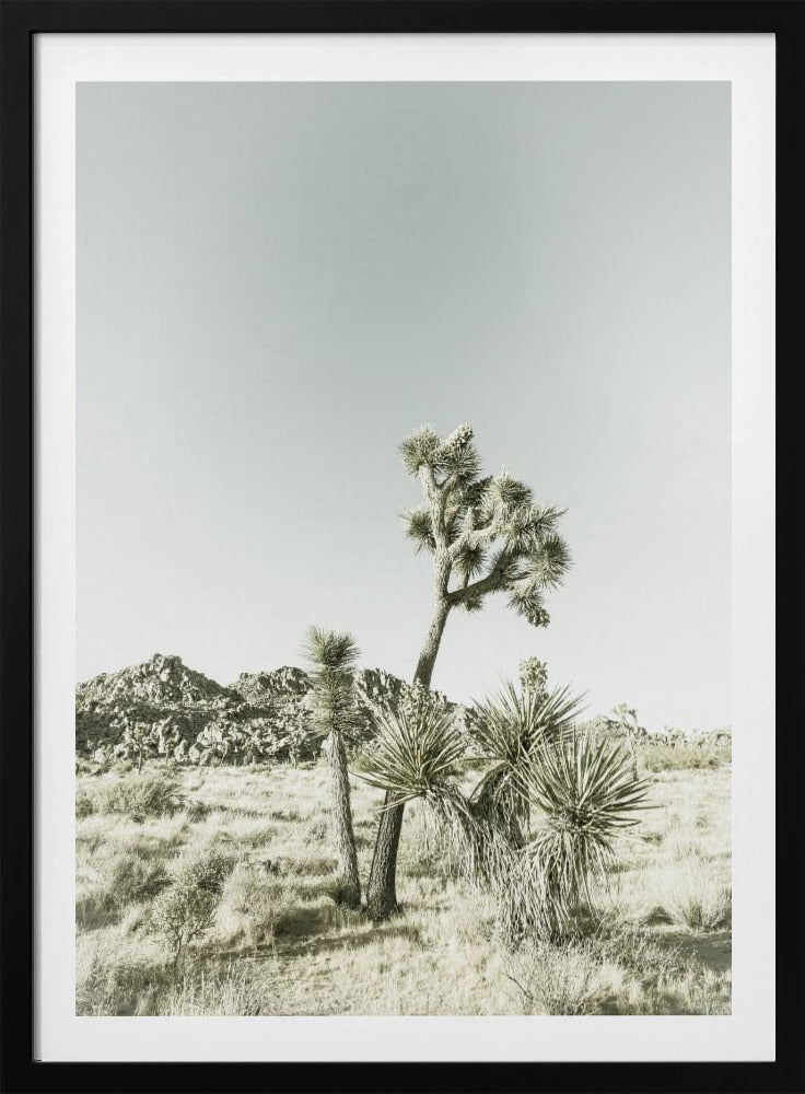 Vintage impressie van Joshua Tree National Park | Poster