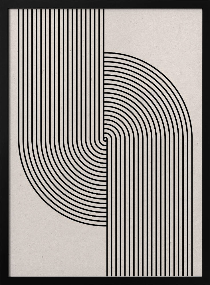 Curved Symmetry | Poster