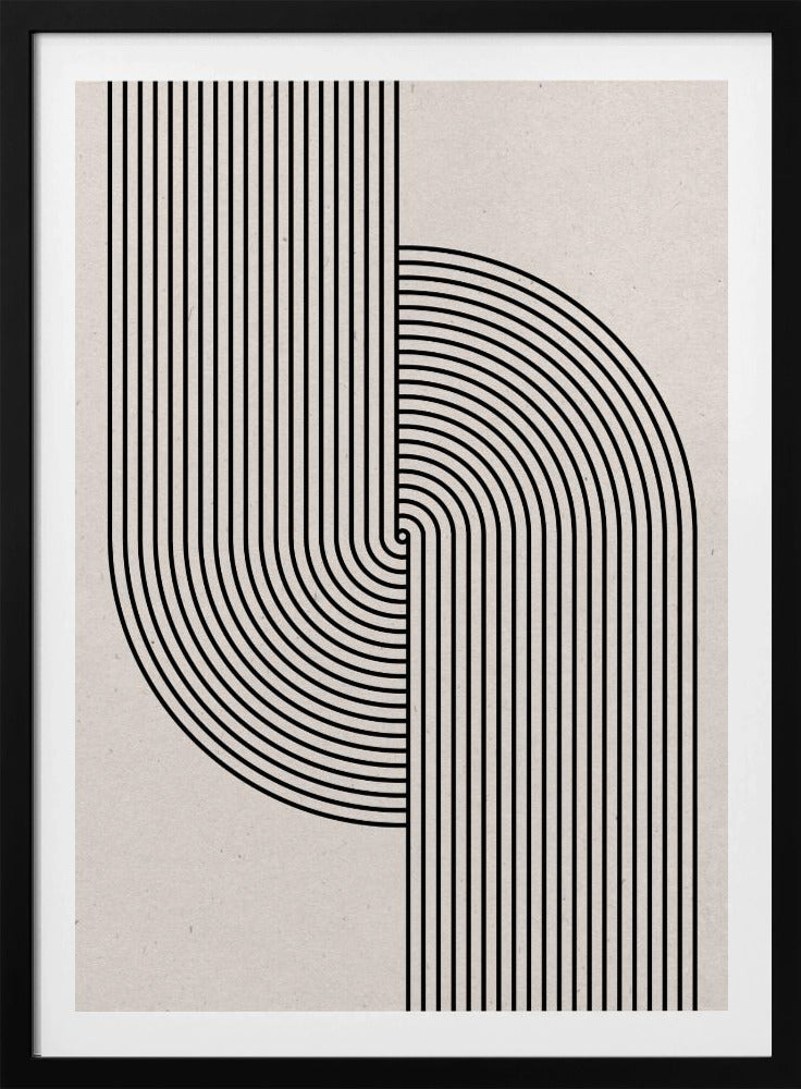 Curved Symmetry | Poster