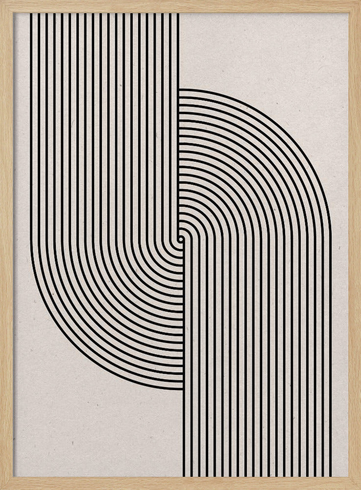 Curved Symmetry | Poster