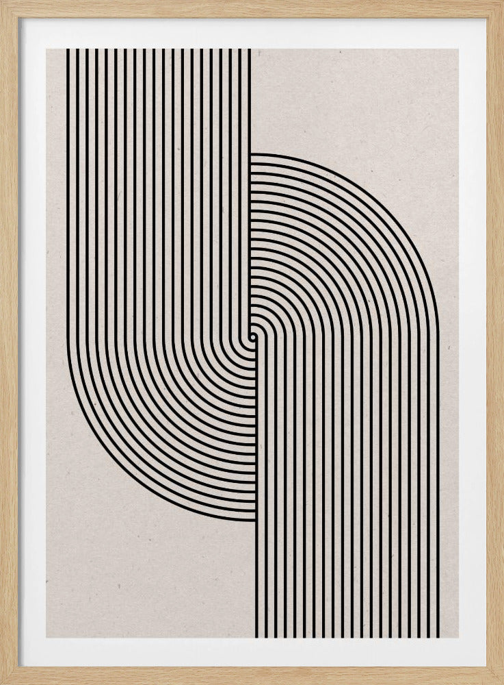 Curved Symmetry | Poster