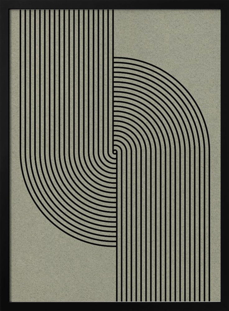 Curved Symmetry | Poster