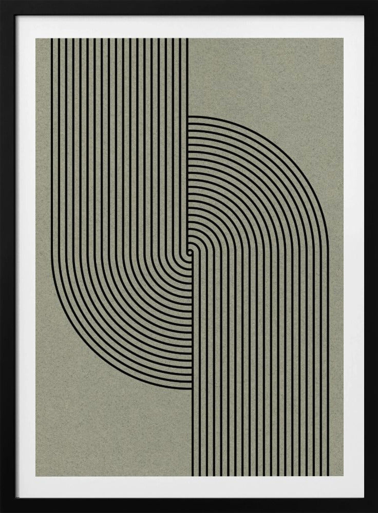 Curved Symmetry | Poster