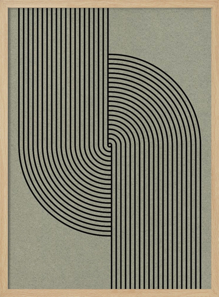 Curved Symmetry | Poster