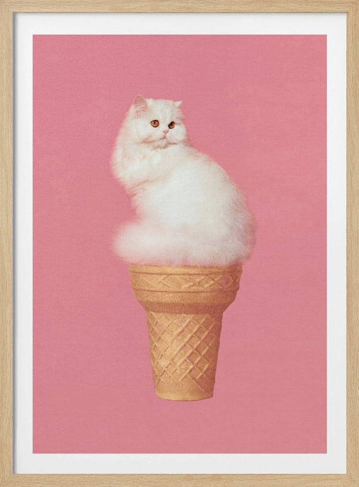 Kattenijsje - Roze | Poster