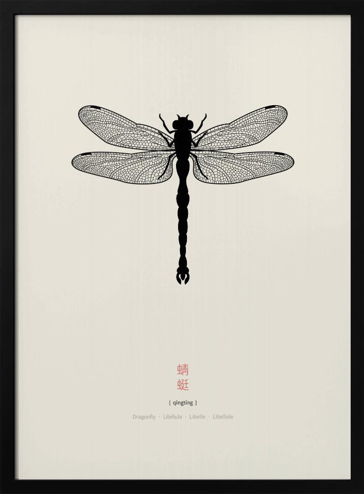 Dragonfly | Poster