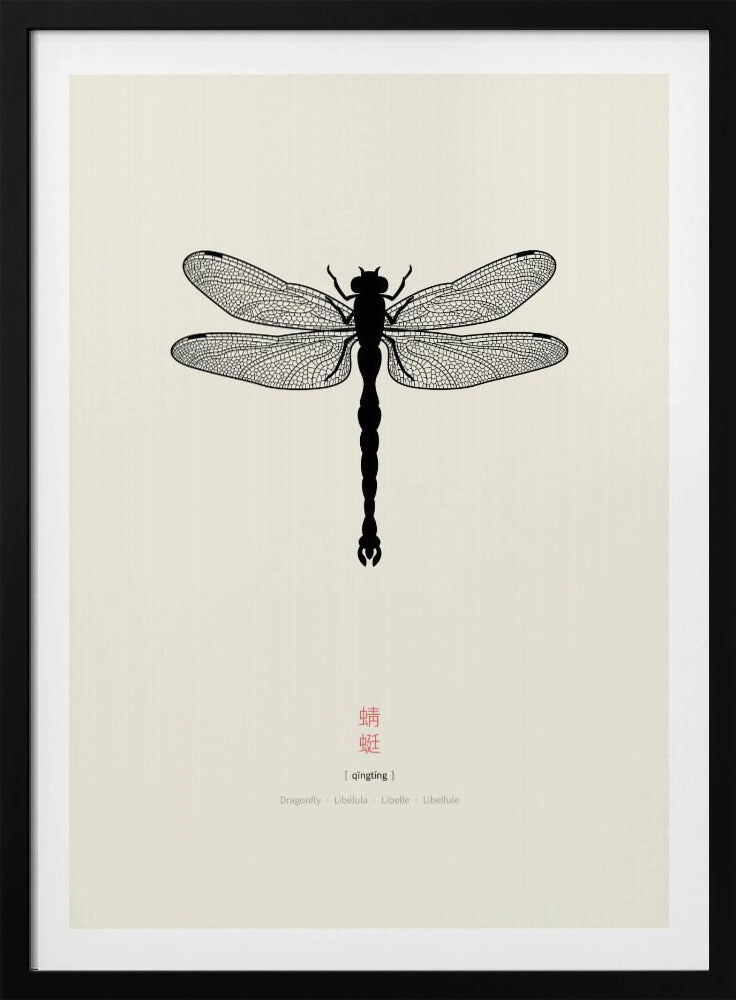 Dragonfly | Poster