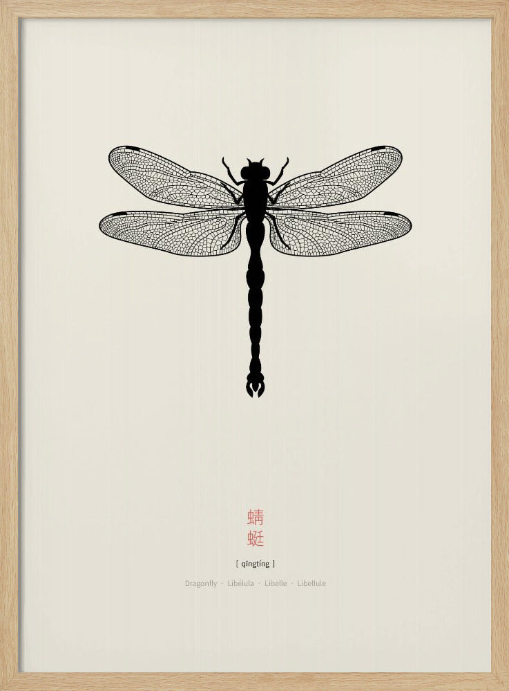 Dragonfly | Poster
