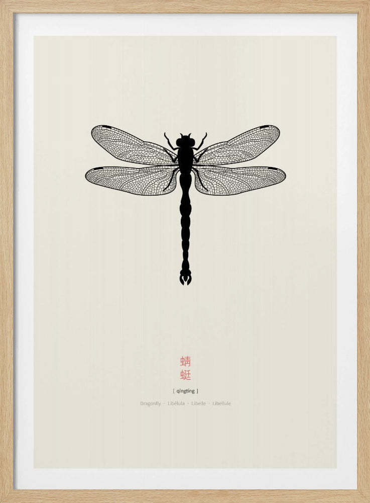 Dragonfly | Poster