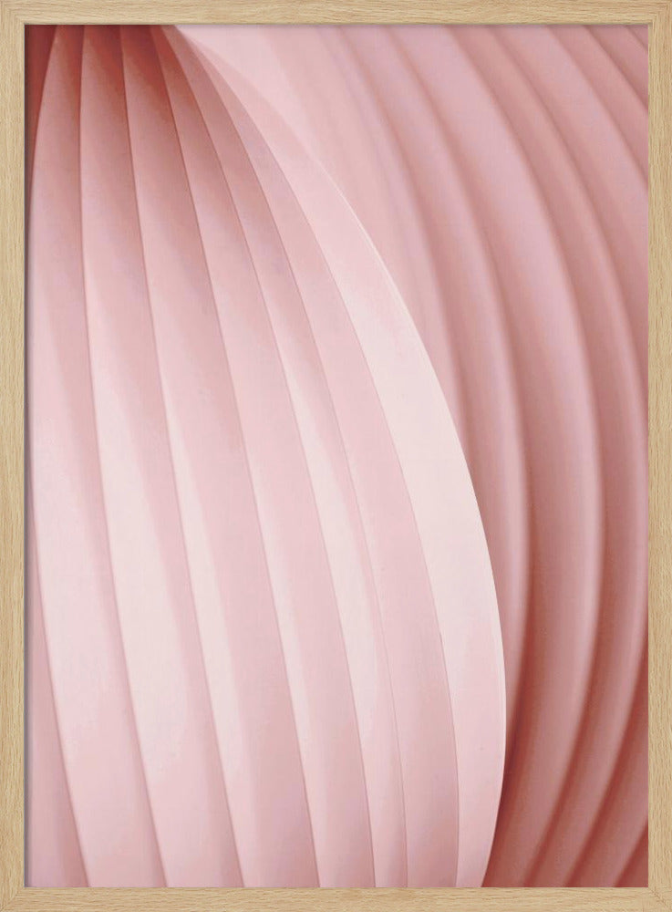 Peach Pink | Poster