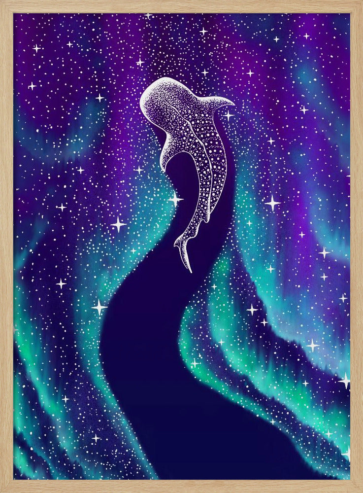 Sterreneter in het Noorderlicht | Poster