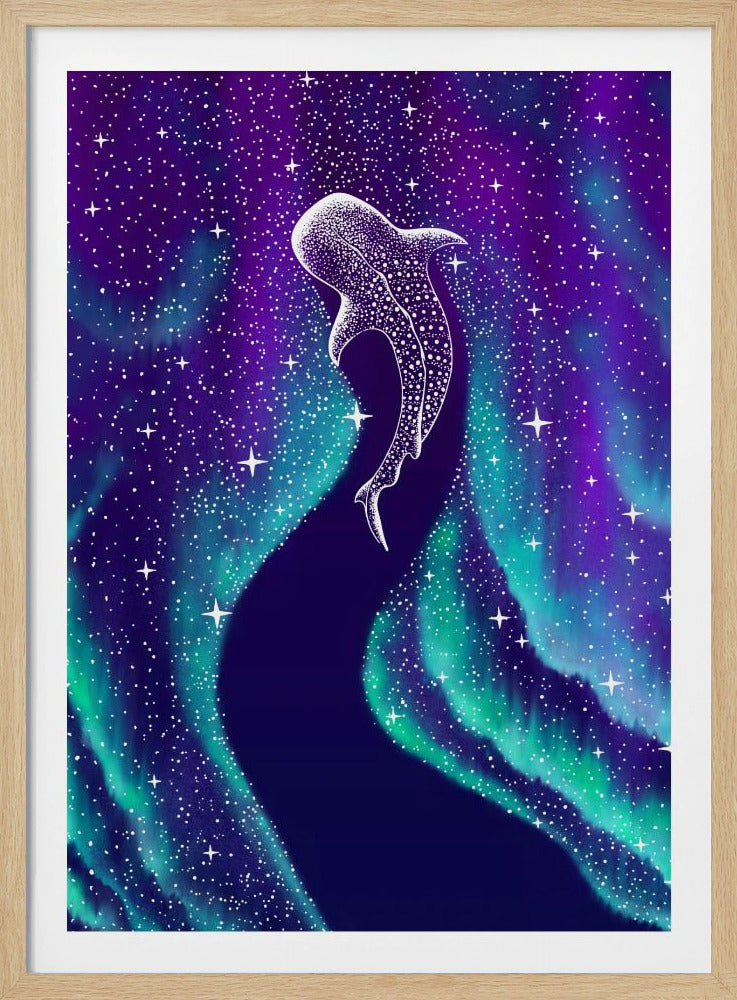 Sterreneter in het Noorderlicht | Poster