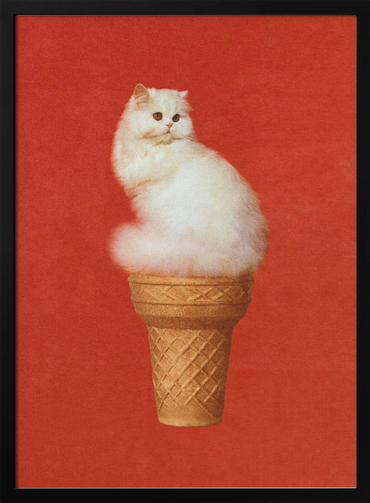 Kattenijs Rood | Poster