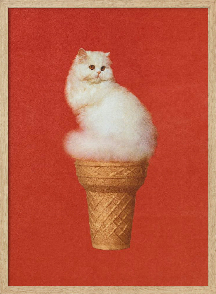 Kattenijs Rood | Poster