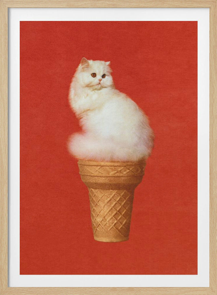 Kattenijs Rood | Poster