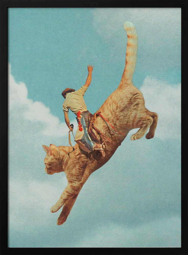 Meehaw Rodio Kat | Poster