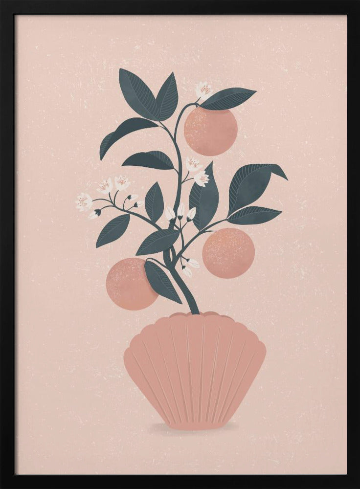 Tangerine Shell | Poster