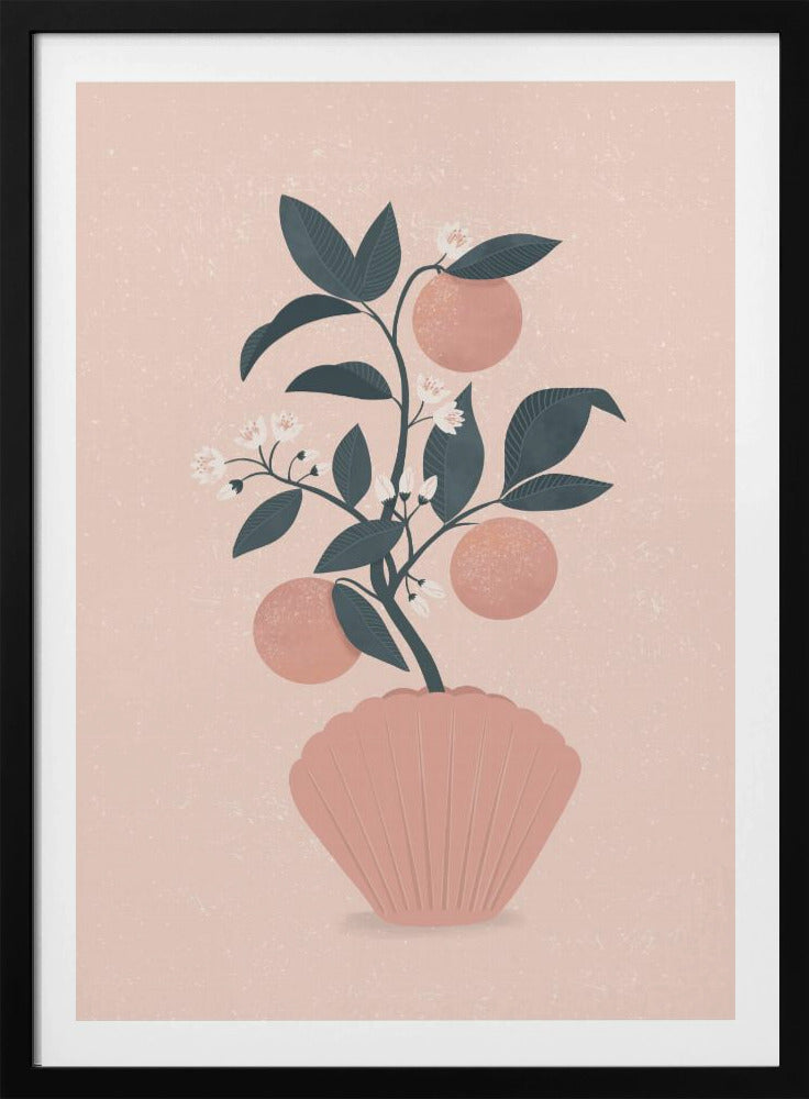 Tangerine Shell | Poster