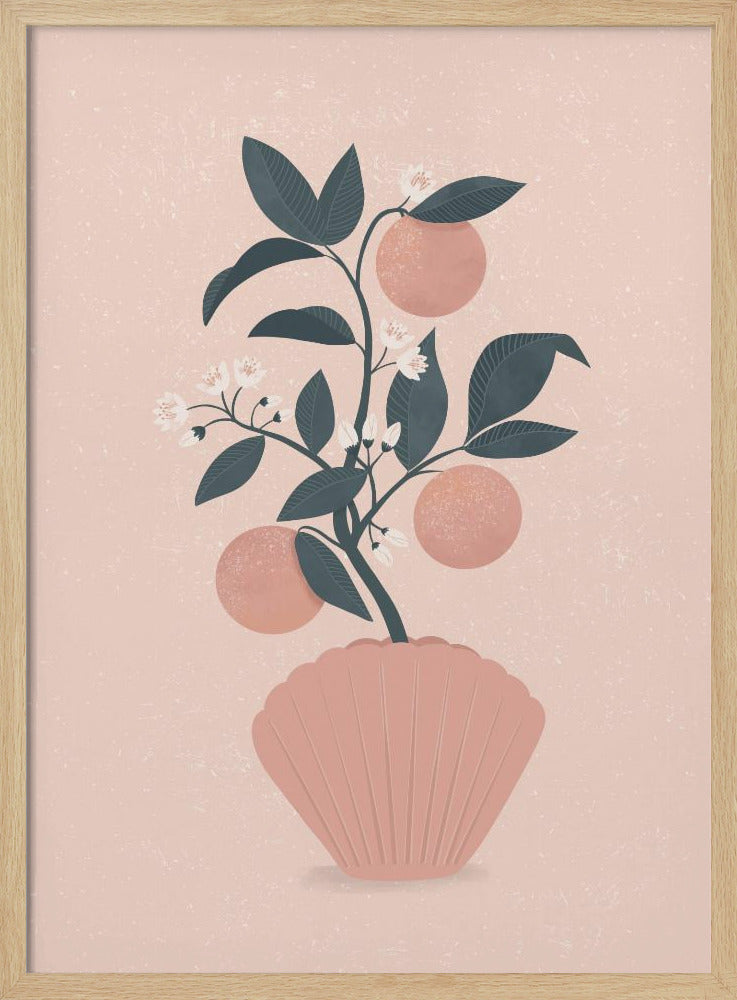 Tangerine Shell | Poster