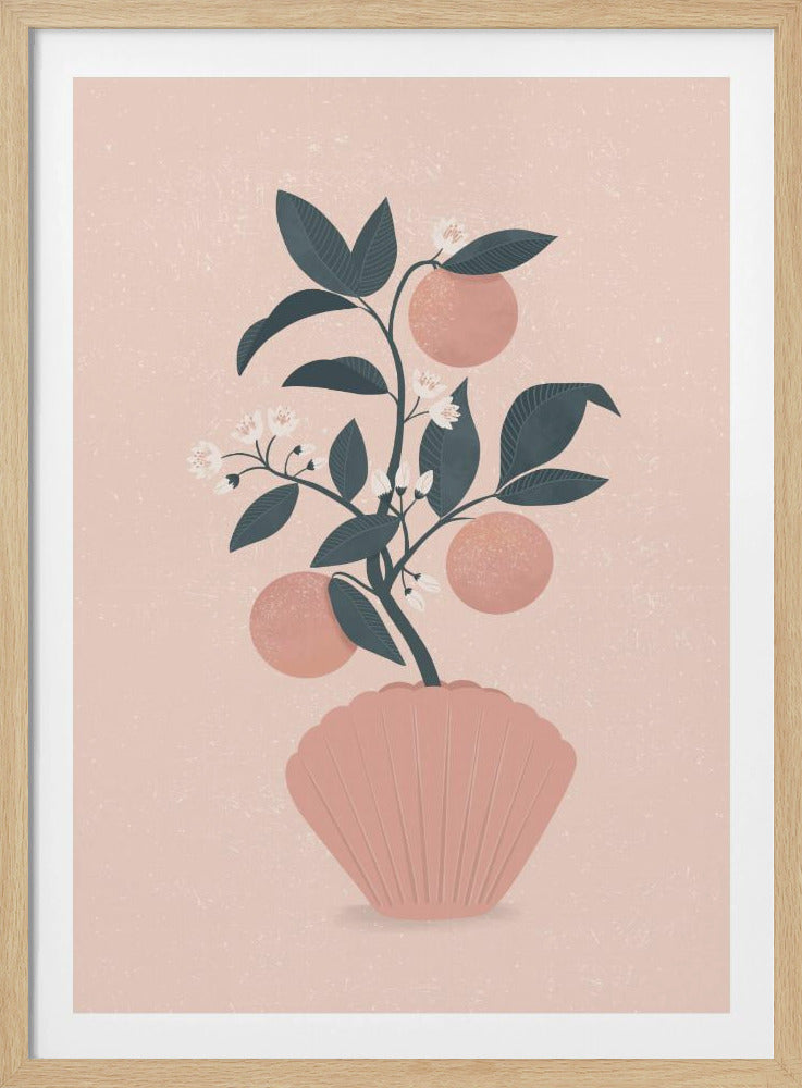 Tangerine Shell | Poster