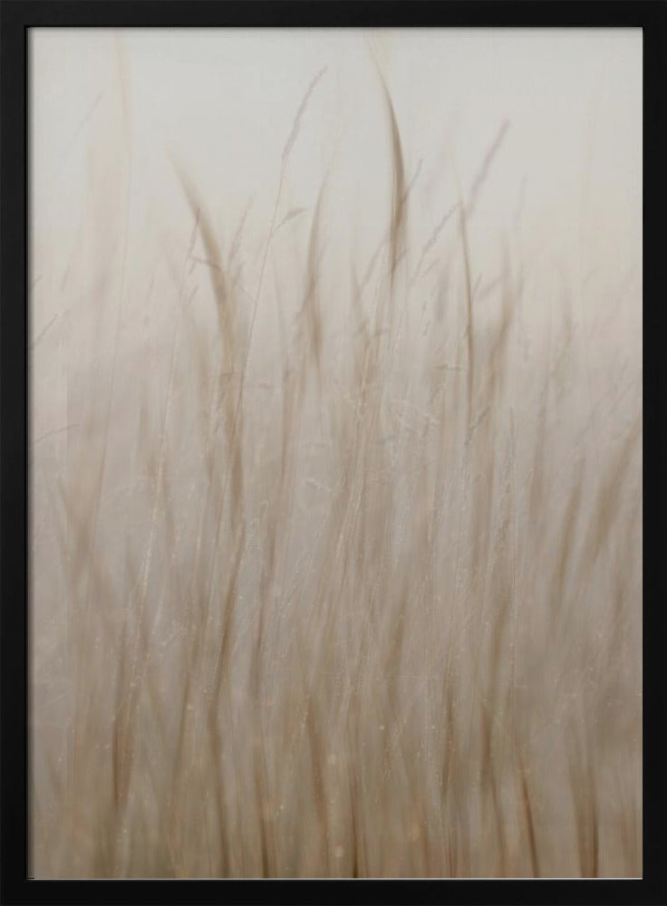 Weidegras | Poster