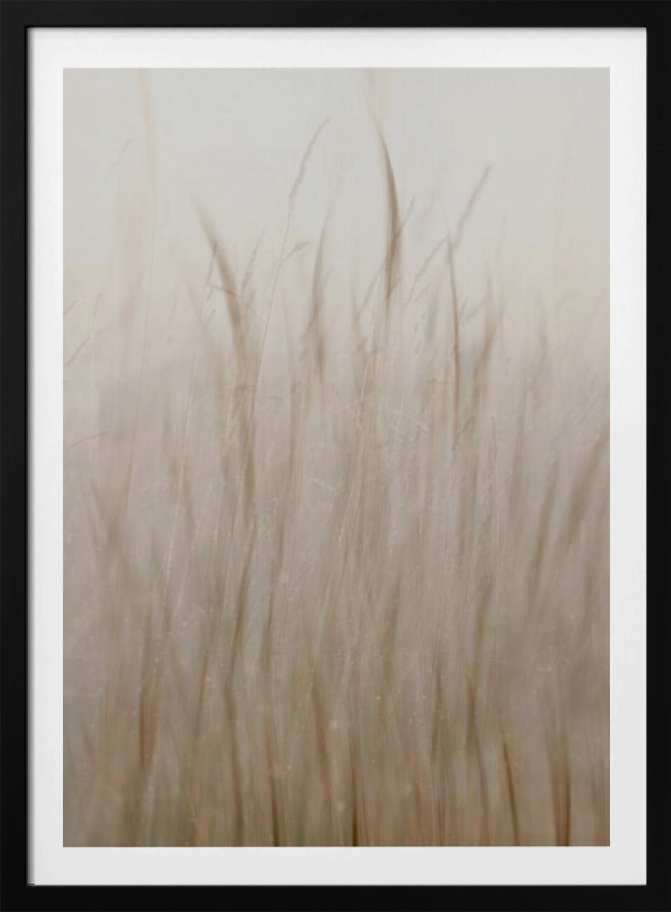 Weidegras | Poster