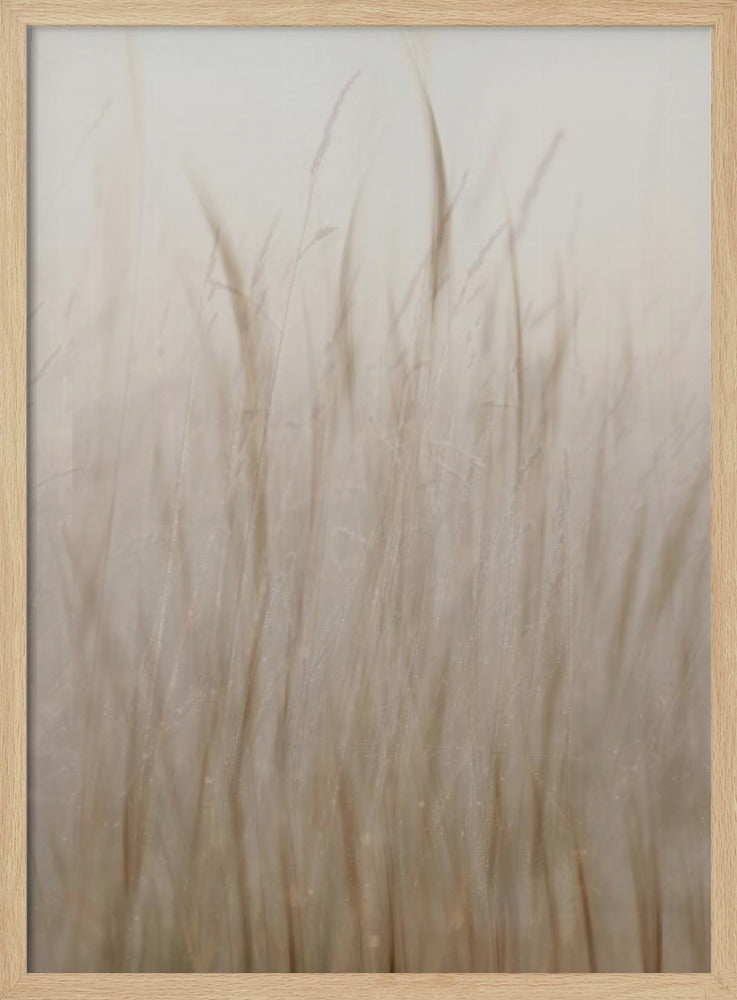 Weidegras | Poster