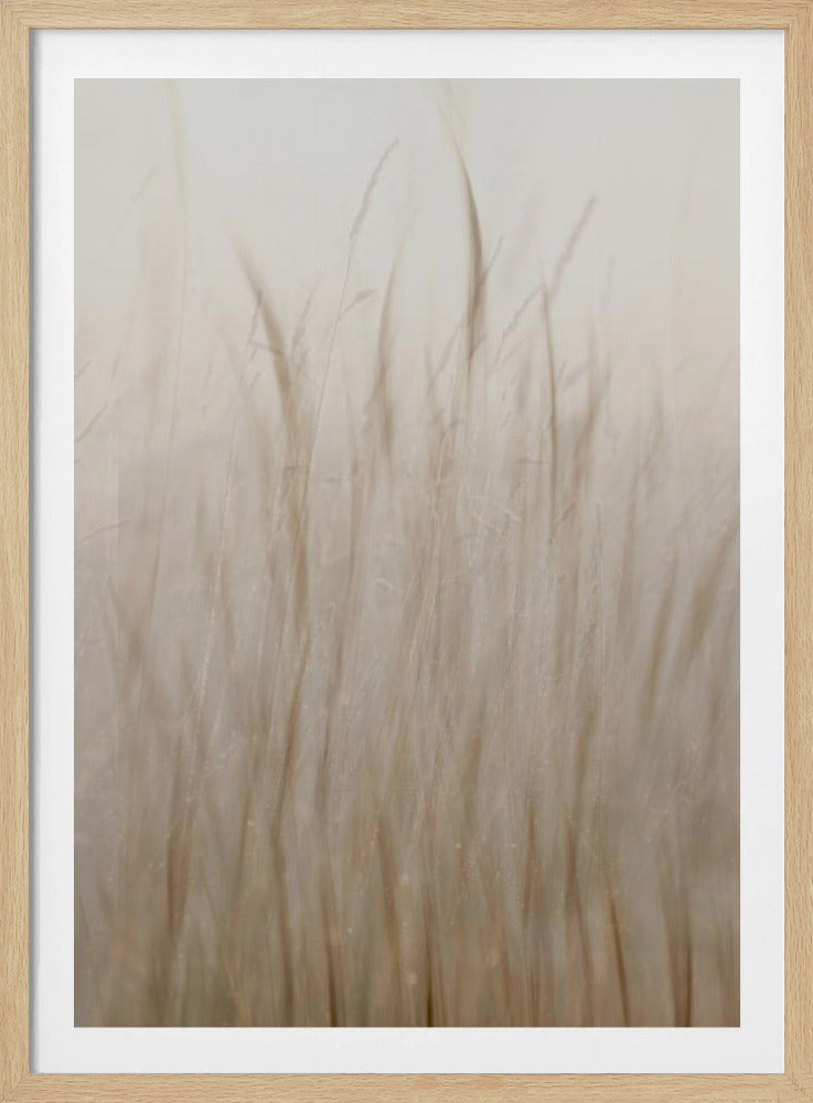 Weidegras | Poster