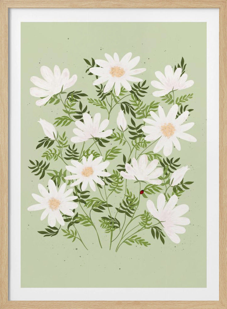 Lieveheersbeestjesbloemen | Poster