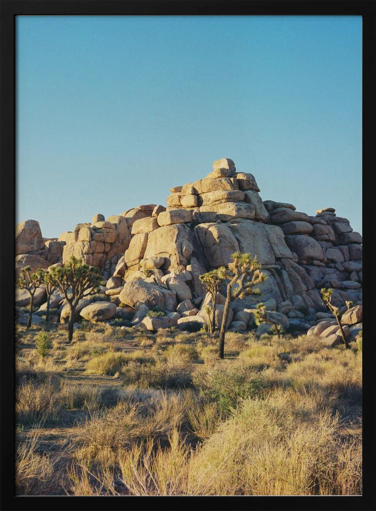 Zonsondergang in Joshua Tree | Poster
