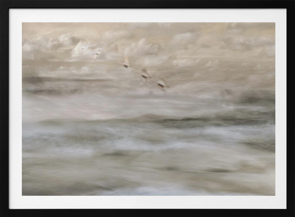 Swans over sea | Poster