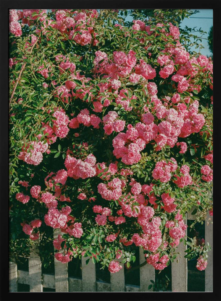 Bloeiende Cannon Beach | Poster