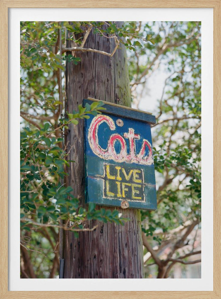 Katten uit New Orleans | Poster